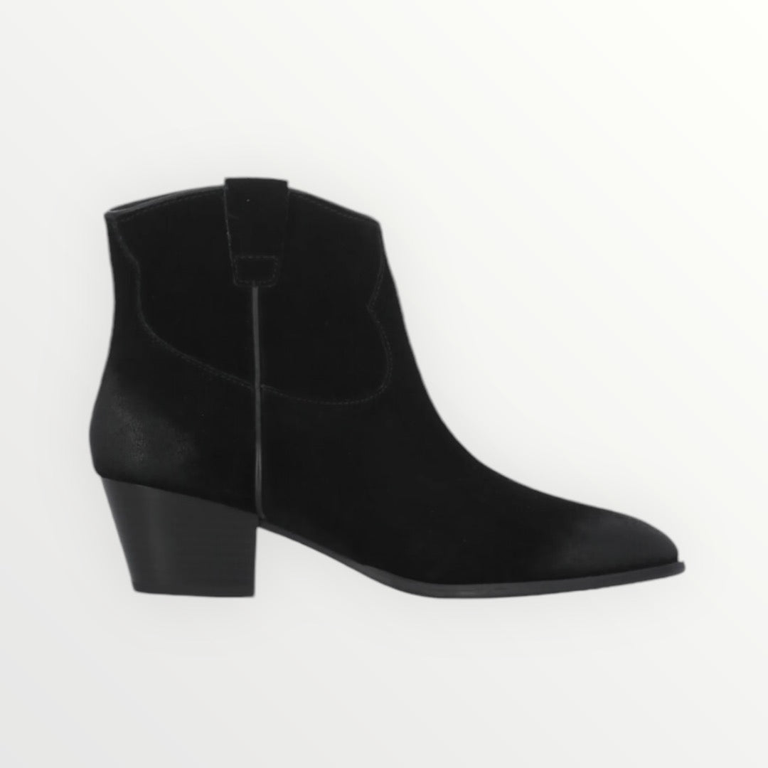 Bottines en daim black ASH Fame